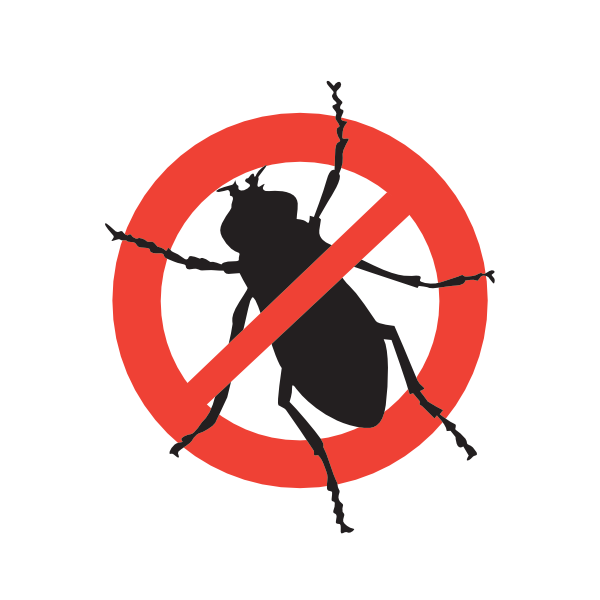 Termite Services - no termites