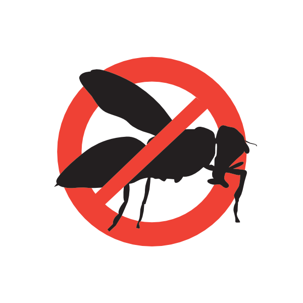 Bees & Wasps - no bees